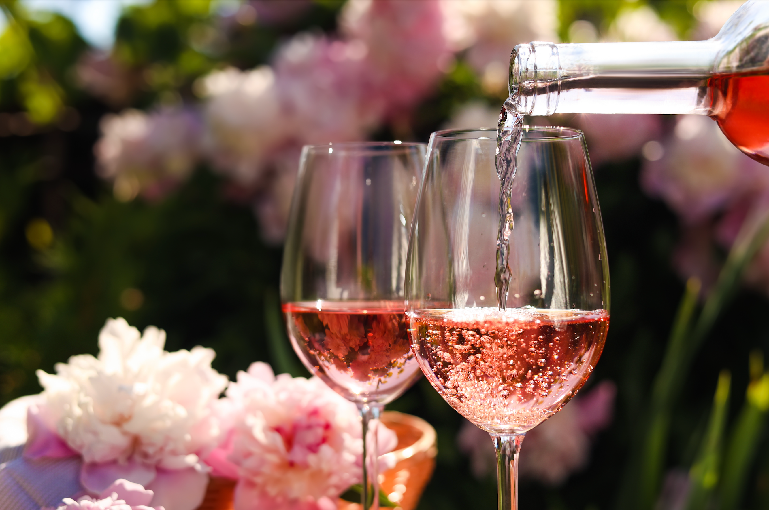 Rosé Wine