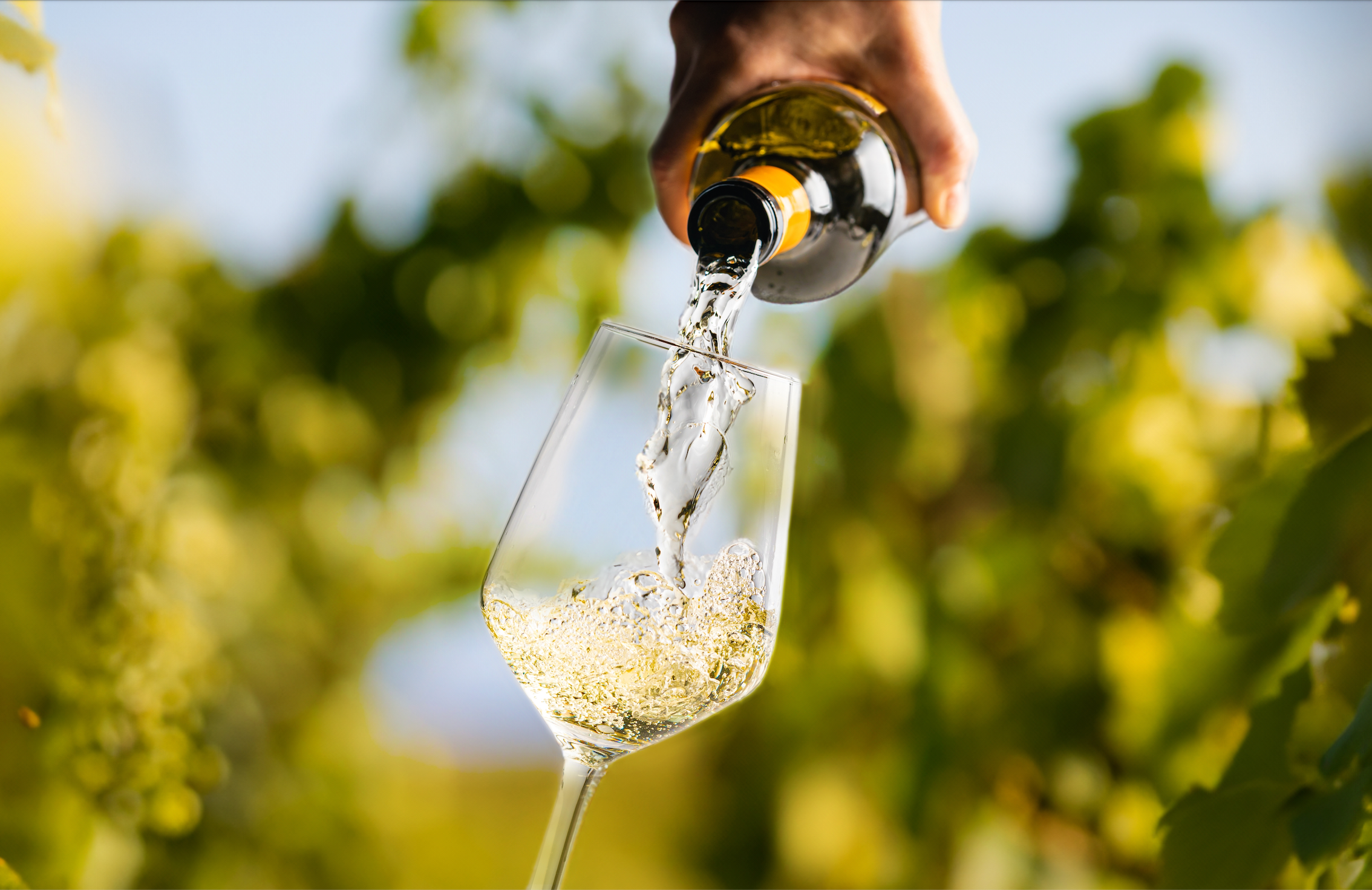 White Wine