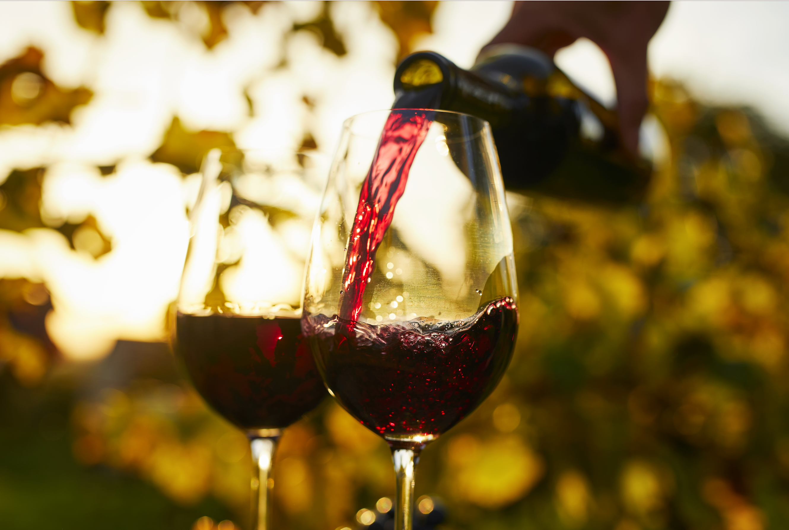 Red Wine