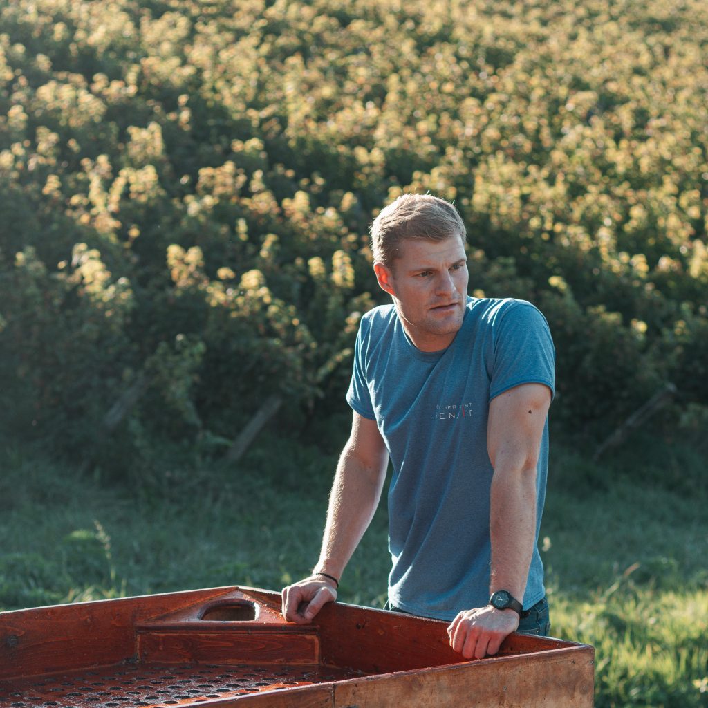 2022 Maison Lou Dumont Meursault 1er Les Plures, 750ml – Golden 8